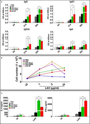 LigA formulated in AS04 or Montanide ISA720VG induced superior immune response compared to alum, which correlated to protective efficacy in a hamster model of leptospirosis